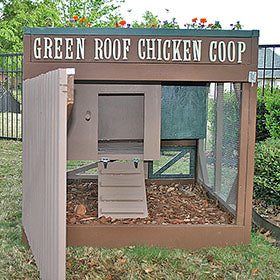 Green Roof Building Plans (up to 4 chickens)