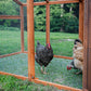 The Hen Pen chicken run has a wire bottom that is included to keep predators out! 