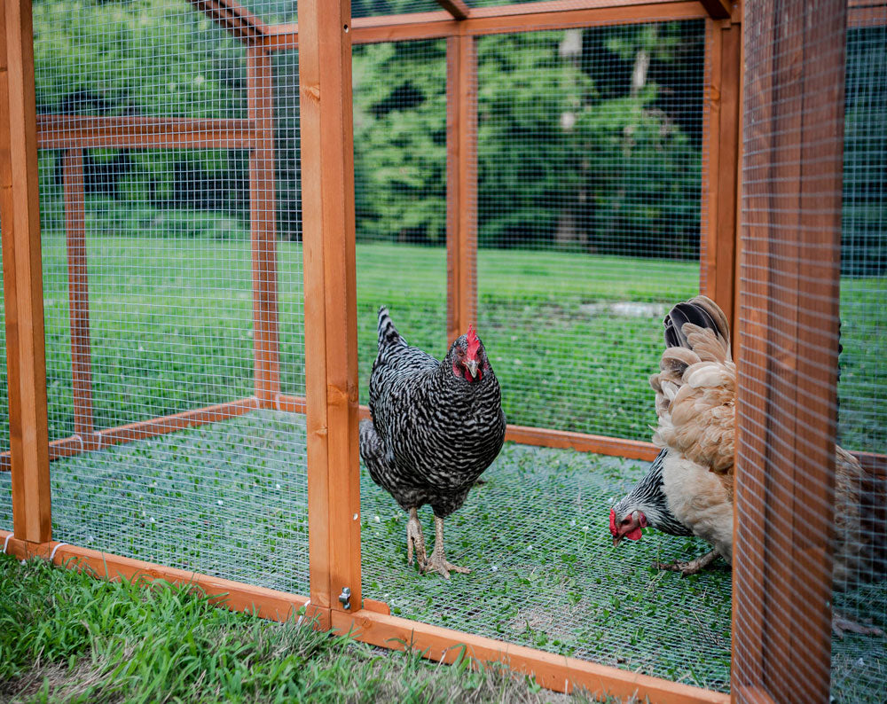 The Hen Pen chicken run has a wire bottom that is included to keep predators out! 