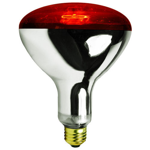 What Watt Heat Lamp for Chicks: Ultimate Guide for Perfect Warmth
