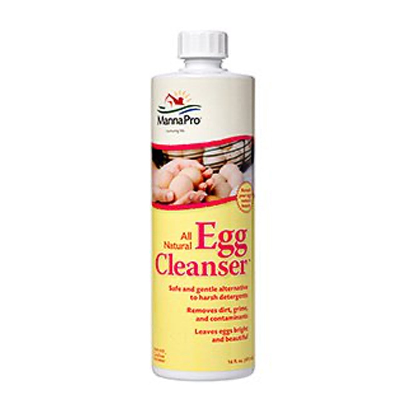 Egg Cleanser Concentrate, 16 oz