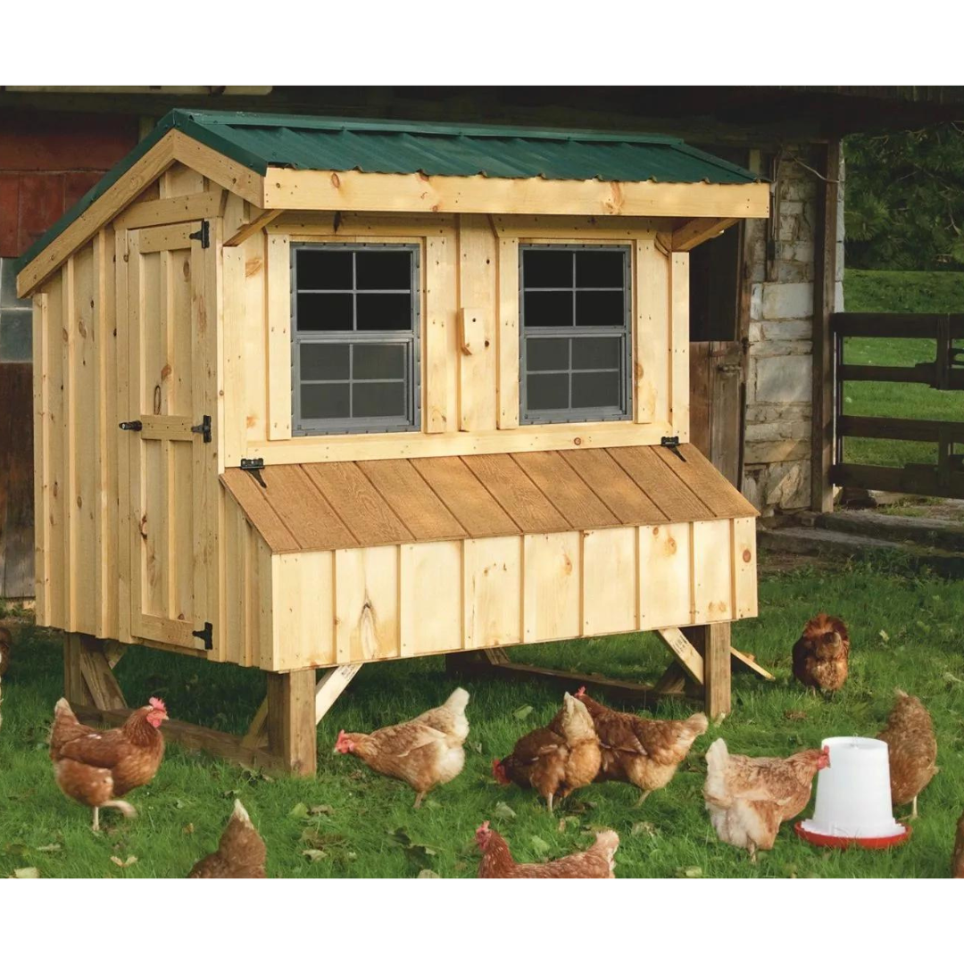 Craftsman 4x6 Chicken Coop