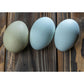 Blue and Green chicken eggs