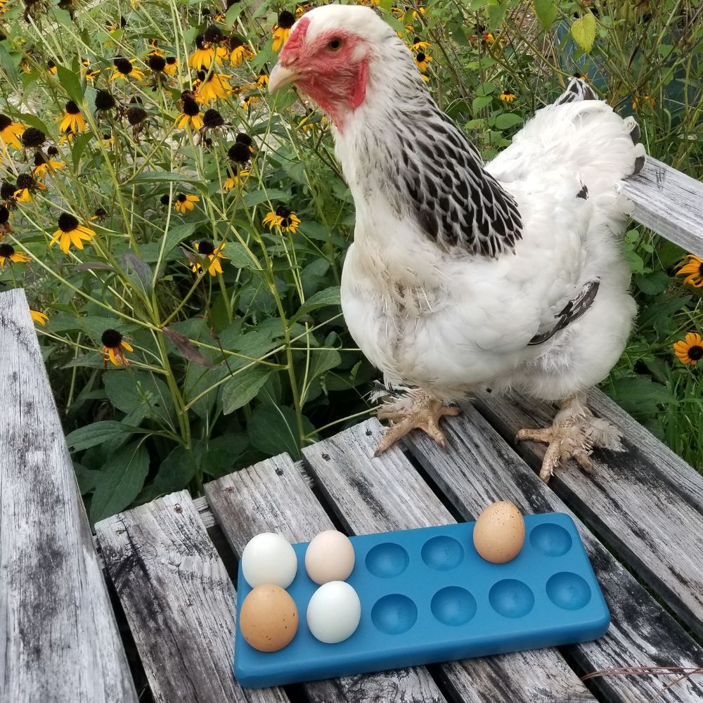 Henlay Wooden Egg Tray