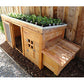 Herb Garden Coop Plans (up to 4 chickens)