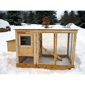 Urban Chicken Coop Plans (up to 4 chickens)