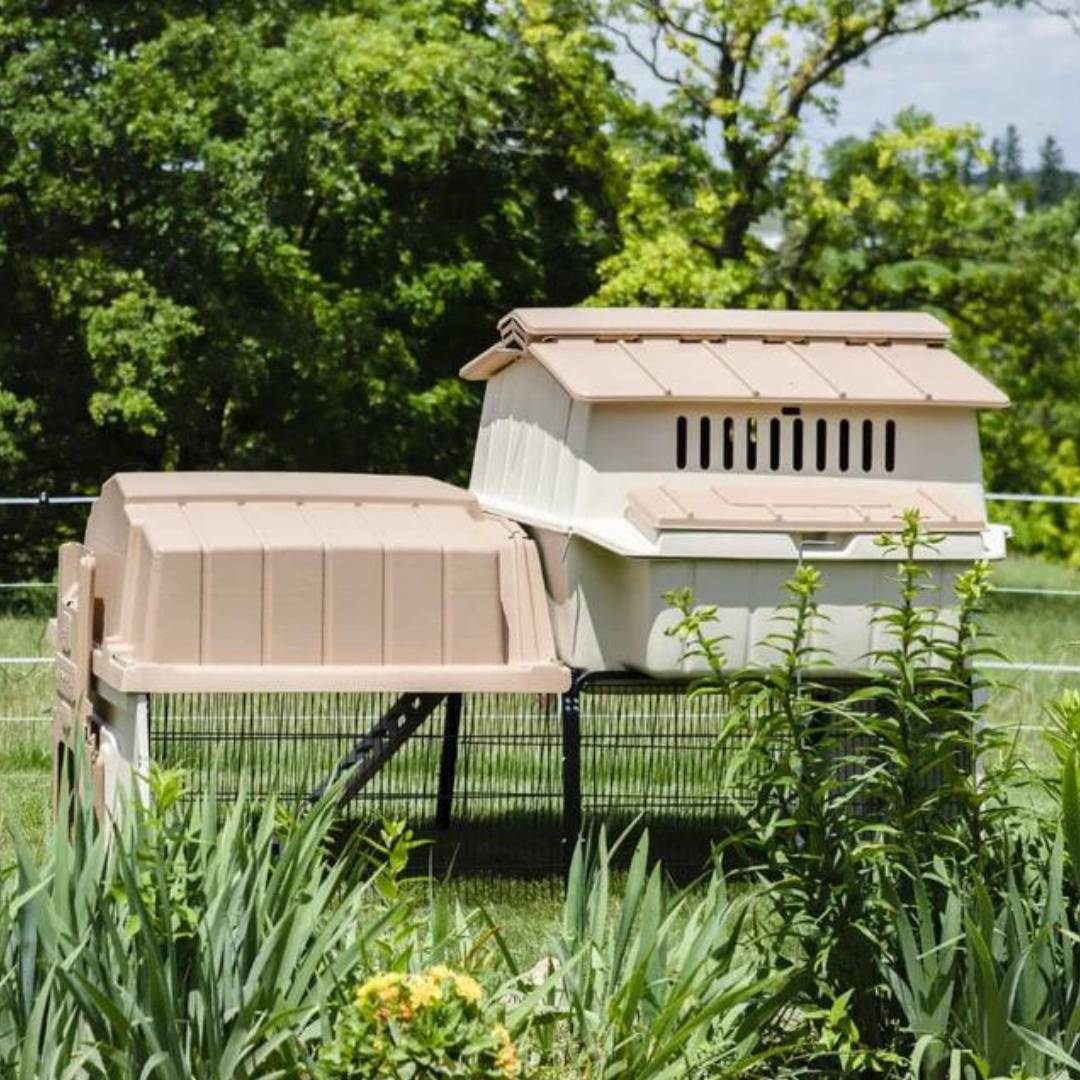 Beige Ultimate Chicken Coop w/feeder and waterer (up to 6 chickens)